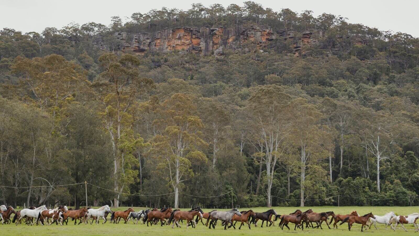 Glenworth Valley Wilderness Adventures Weddings Love Central Coast